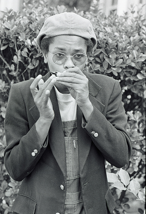 musician playing harmonica